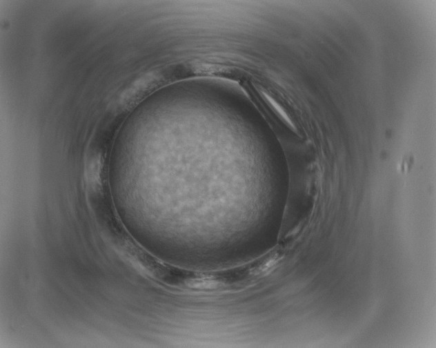 X0000081290219200701251701