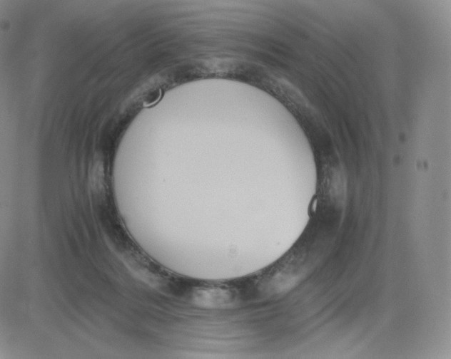 X0000081290220200701251701