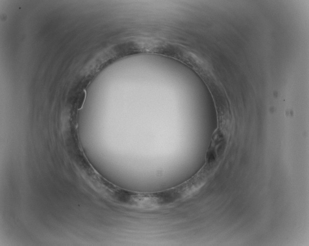 X0000081290221200701251701