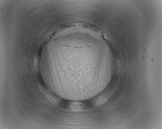 X0000081290222200701251701