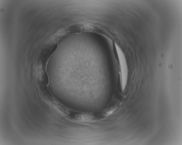 X0000081290223200701251701