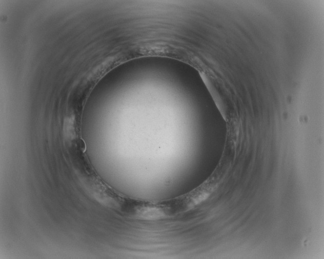 X0000081290224200701251701