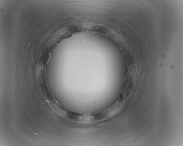 X0000081290225200701251701