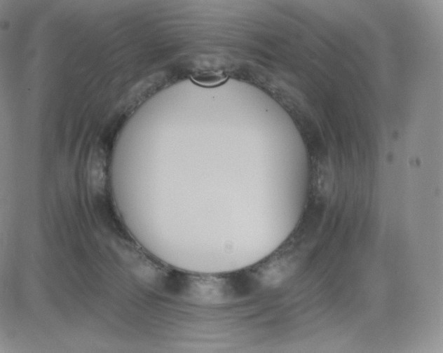 X0000081290226200701251701