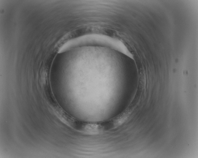 X0000081290227200701251701