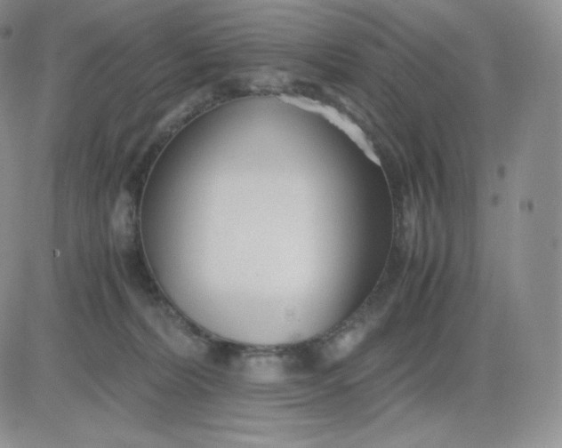 X0000081290228200701251701