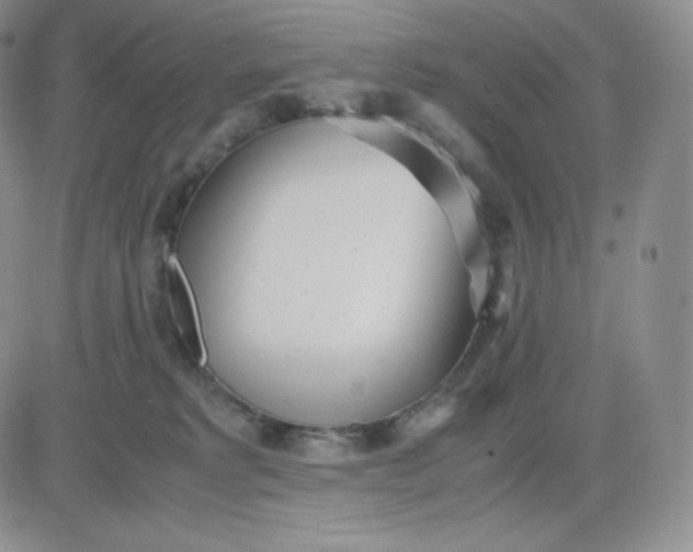 X0000081290229200701251701