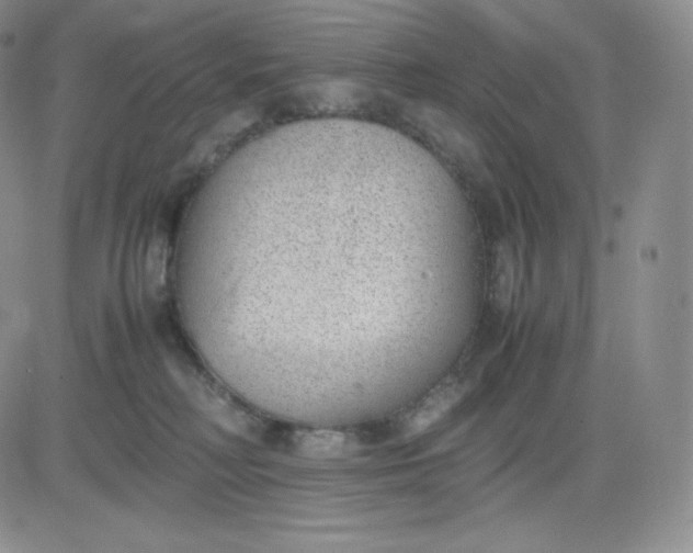 X0000081290230200701251701