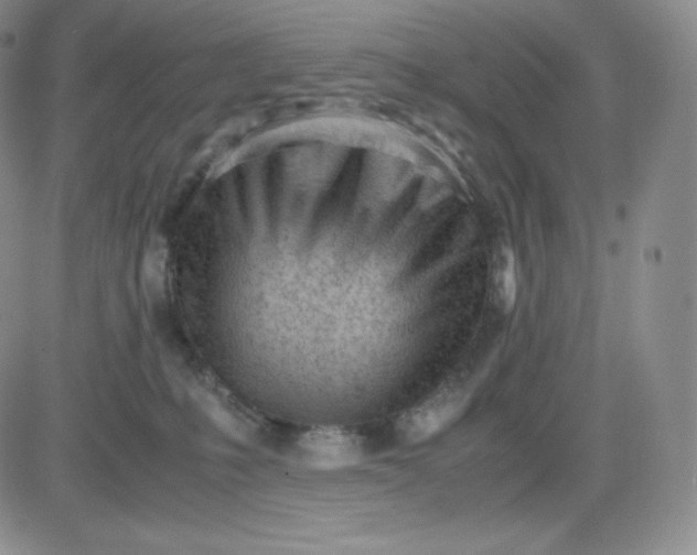 X0000081290231200701251701