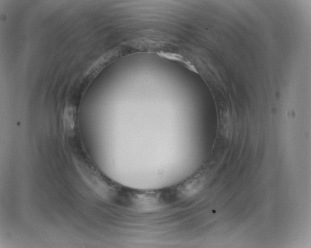 X0000081290232200701251701