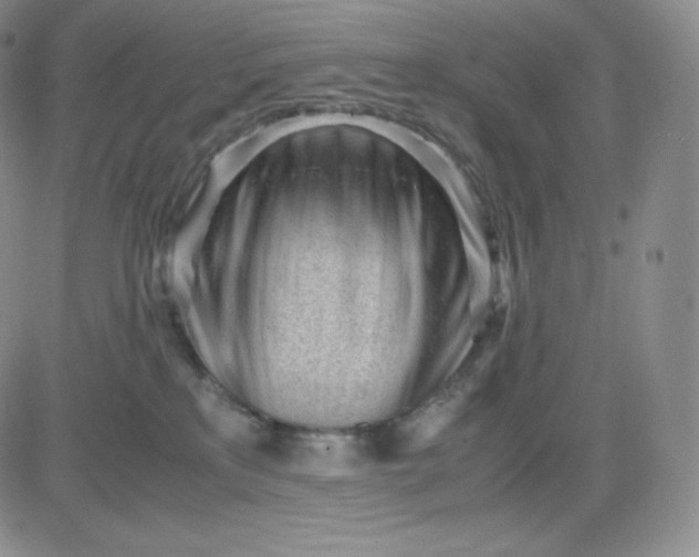 X0000081290233200701251701