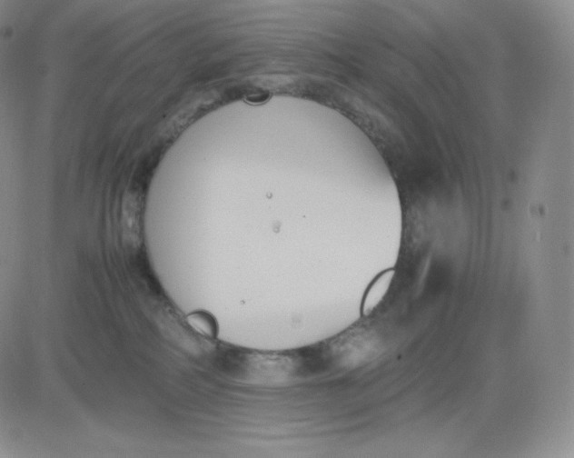 X0000081290234200701251701