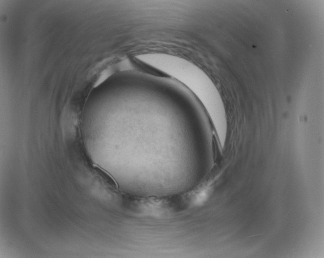 X0000081290235200701251701