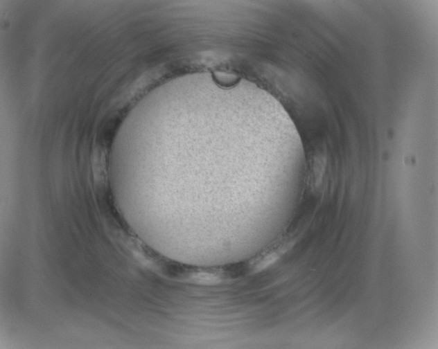 X0000081290236200701251701