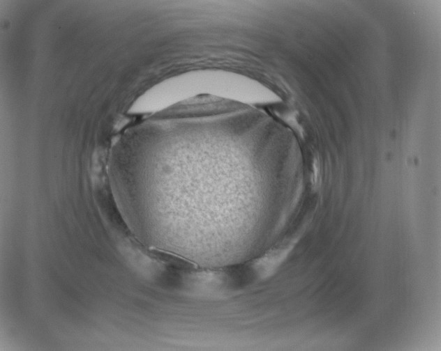 X0000081290237200701251701