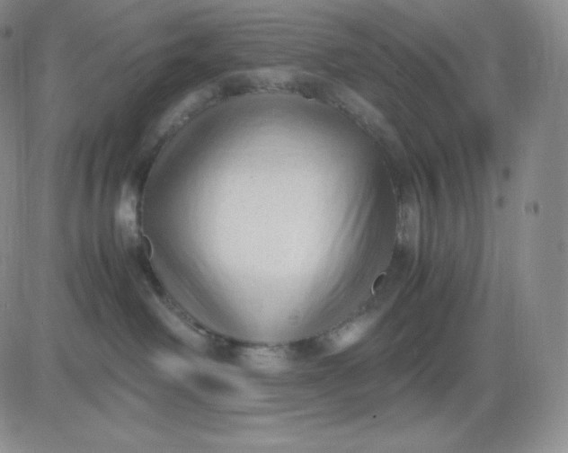 X0000081290238200701251700