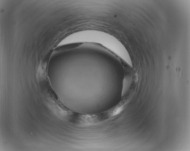 X0000081290239200701251700