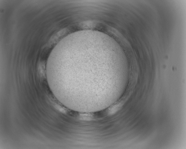 X0000081290240200701251700