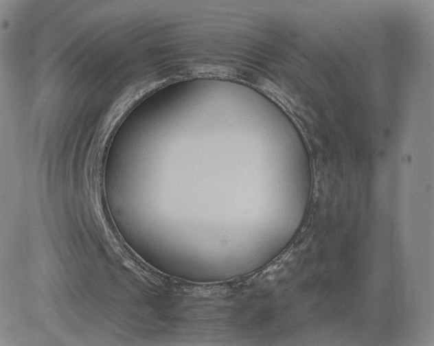 X0000081290241200701251700