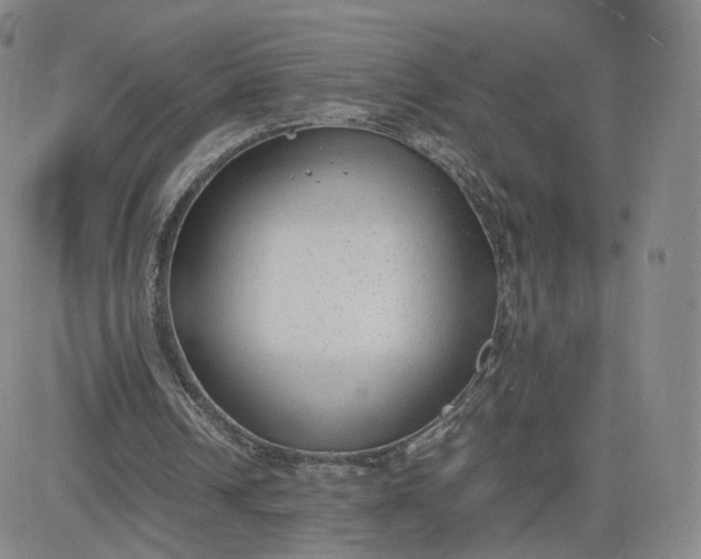 X0000081290242200701251700