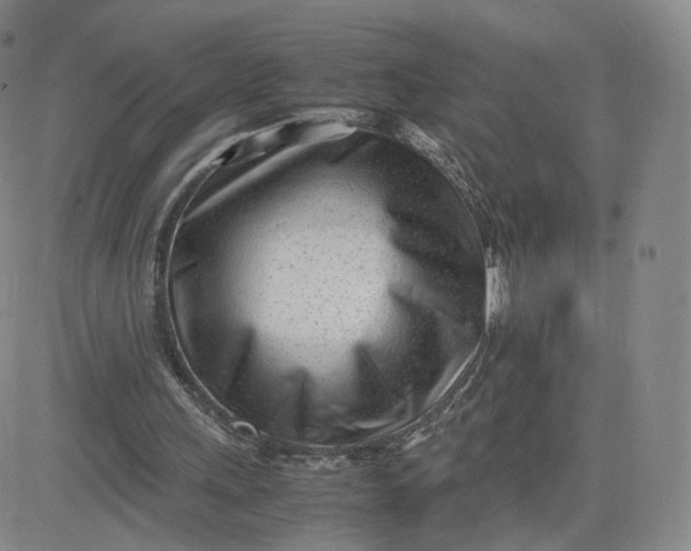 X0000081290243200701251700