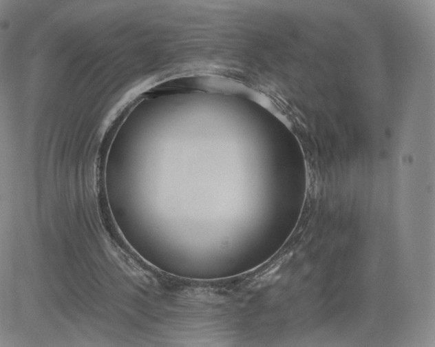 X0000081290244200701251700