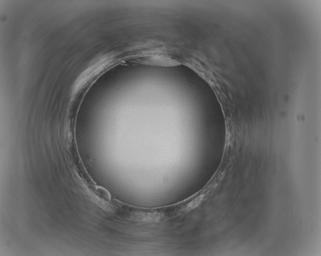 X0000081290245200701251700