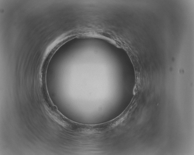 X0000081290246200701251700