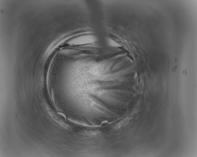 X0000081290247200701251700