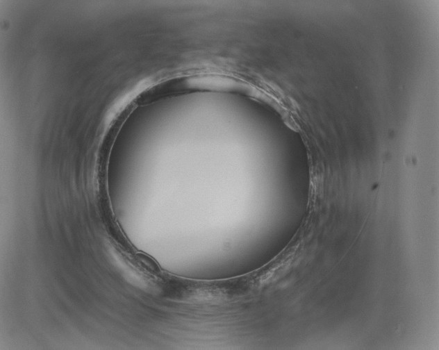 X0000081290248200701251700