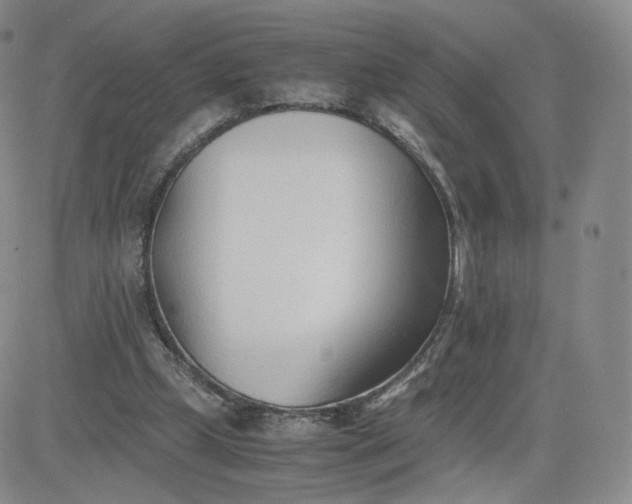 X0000081290249200701251700