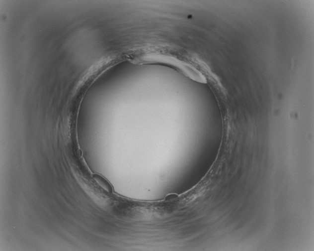 X0000081290250200701251700