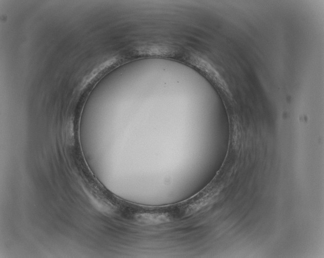 X0000081290251200701251700