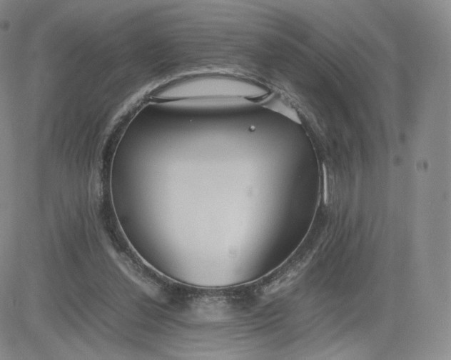 X0000081290252200701251700