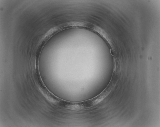 X0000081290253200701251700