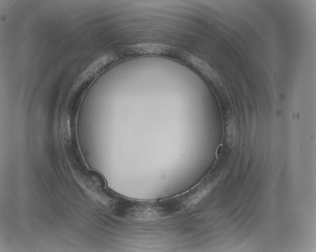 X0000081290254200701251700