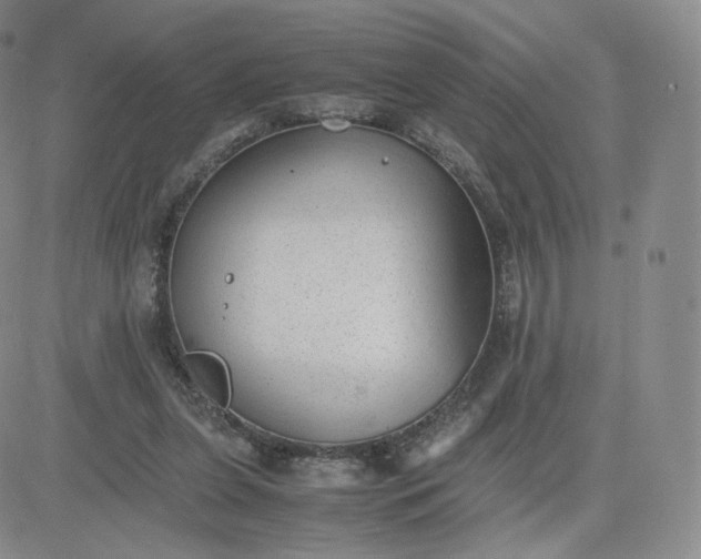 X0000081290255200701251700