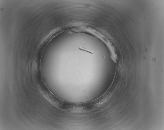 X0000081290256200701251700