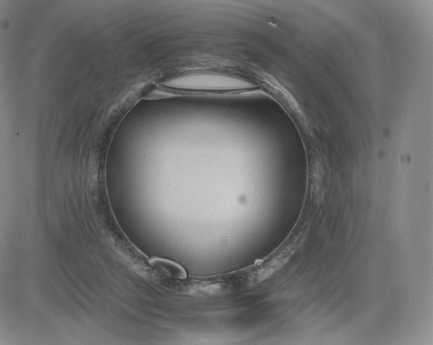 X0000081290257200701251700