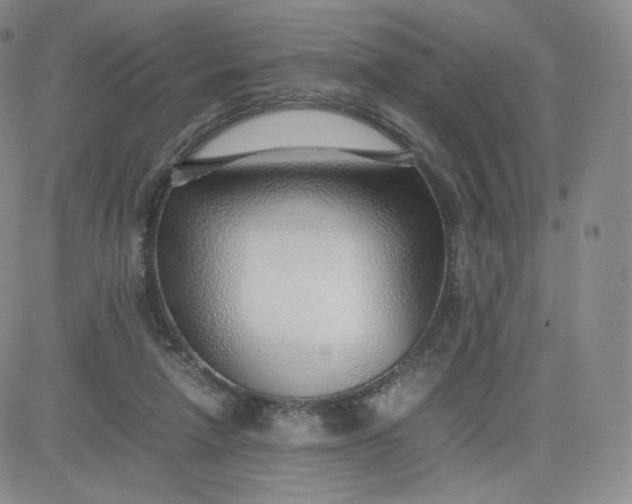 X0000081290258200701251700