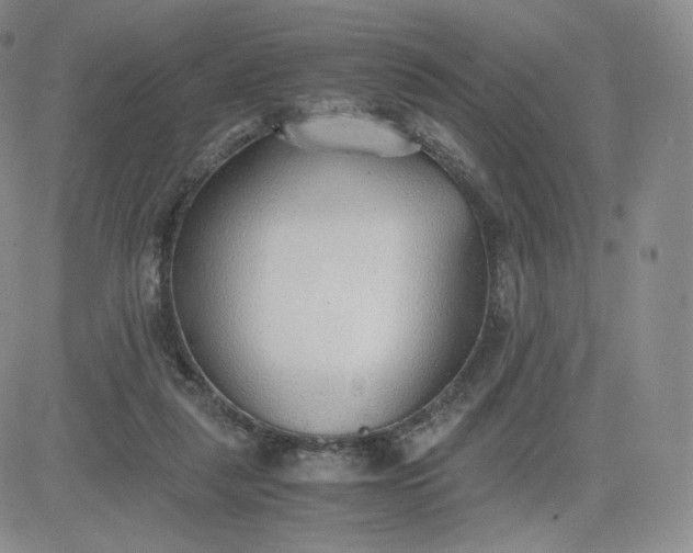 X0000081290259200701251700