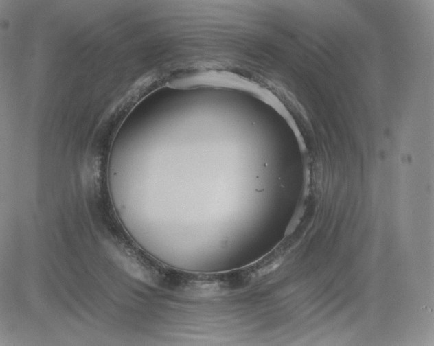 X0000081290260200701251700