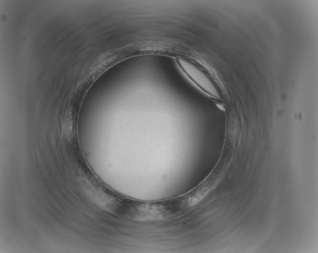 X0000081290261200701251700