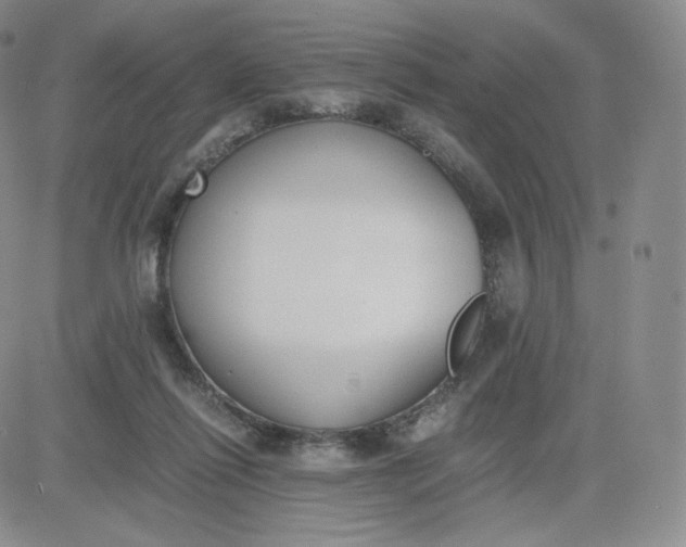 X0000081290262200701251700