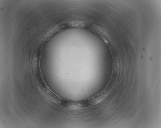 X0000081290263200701251700