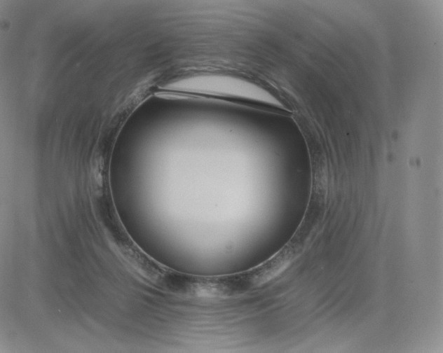 X0000081290264200701251700