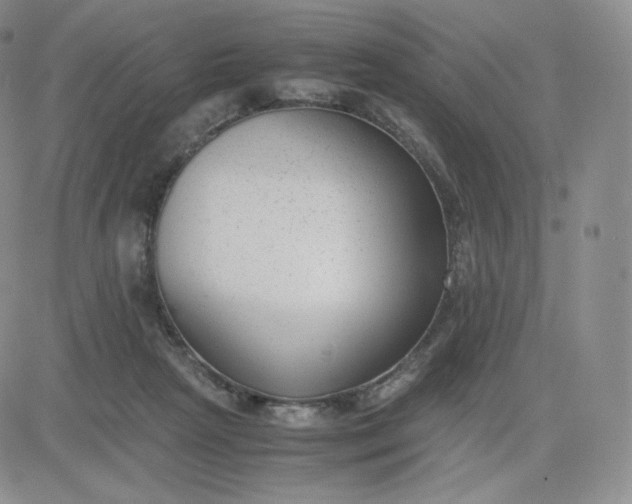 X0000081290265200701251700