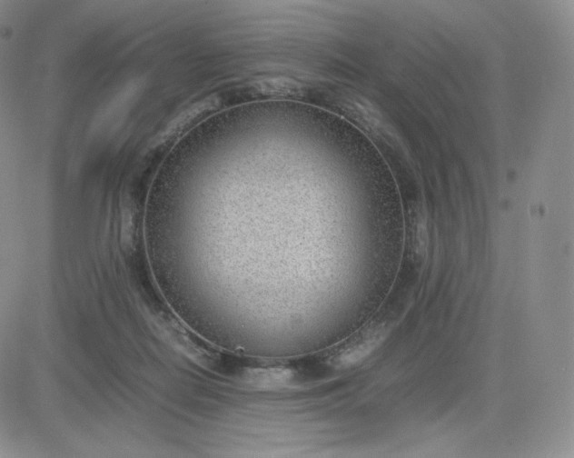 X0000081290266200701251700