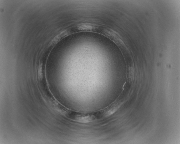 X0000081290267200701251700