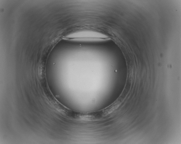 X0000081290268200701251700